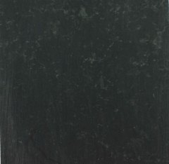 Labrador Black